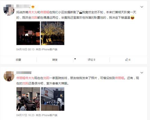 沈阳老舅爆料视频大全下载,揭秘幕后故事，带你领略真实人生